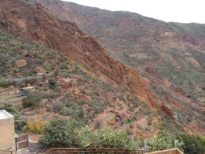 gua-03.jpg